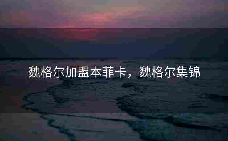 魏格尔加盟本菲卡，魏格尔集锦